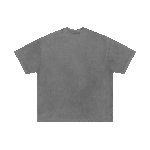 Experiment Five Watch Tee Washed Grey