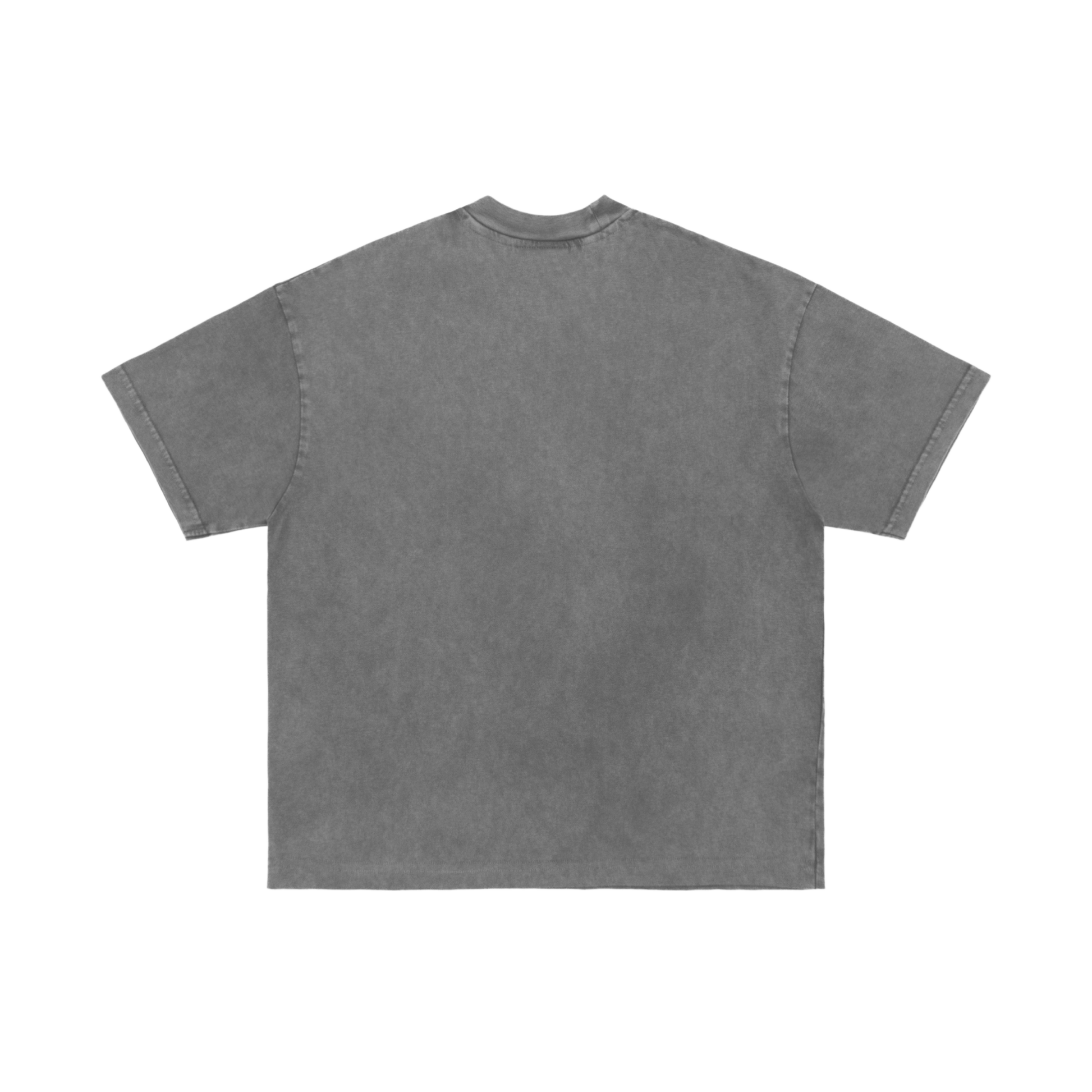 Experiment Five Watch Tee Washed Grey